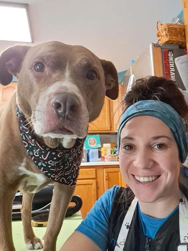 Pit Bull after an in-home groom by Infinite Zen Room