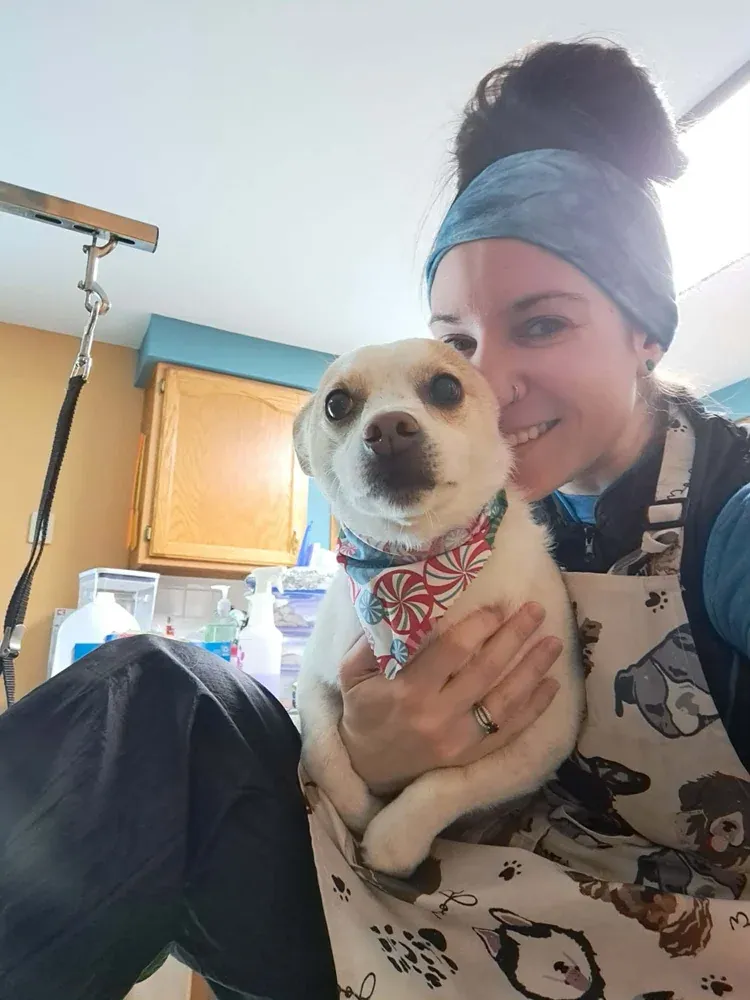 Rat Terrier X after an in-home groom by Infinite Zen Room