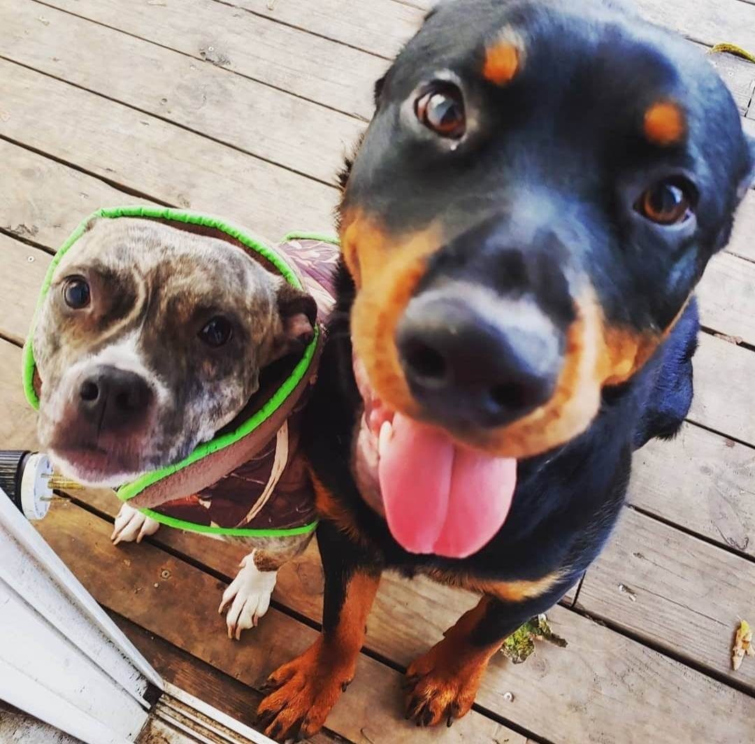 Zoey and Jet
