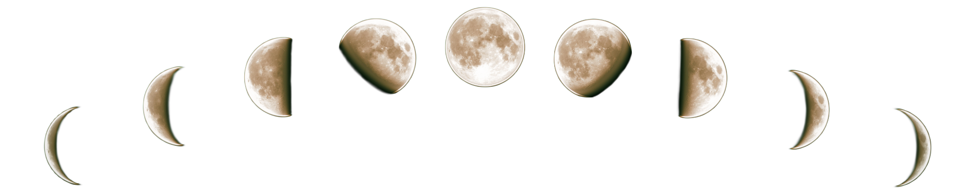 The eight phases of the moon